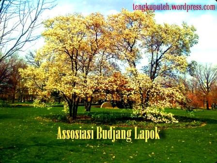 Kebahagiaan dan kesedihan kejar-mengejar bagai dua hantu penasaran. Sedangkan mereka berdua adalah lintasan yang letih dilewati, tetapi tak bergerak ke mana-mana. Dan, waktu adalah pak tua yang Cuma diam mengamati, angkuh mengamati bandul detiknya yang tak berkompromi. 