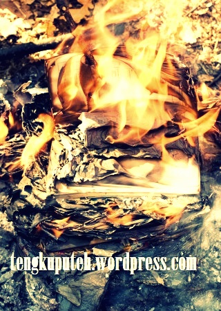 Pembakaran buku adalah pembunuhan intelektual