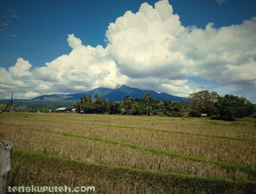 Gunung Seulawah Agam dan Seulawah Inong terlihat berdampingan tampak dari sisi Aceh Besar.
