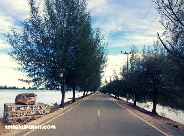 Kawasan pantai Alue Naga