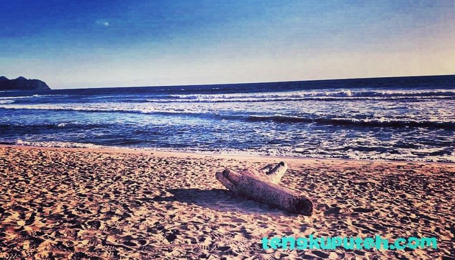 Ingatan seperti sebuah samudera, di balik badai dan gelombang, ada kenangan yang memilih berdamai