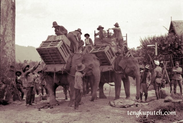 Ekspedisi Pasukan Marsose ke pedalaman Lamlo, Pidie menggunakan sarana transportasi gajah dikarenakan medan yang berat.
