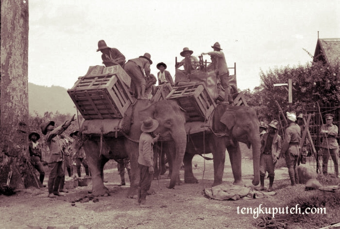 Ekspedisi Pasukan Marsose ke pedalaman Lamlo, Pidie menggunakan sarana transportasi gajah dikarenakan medan yang berat.
