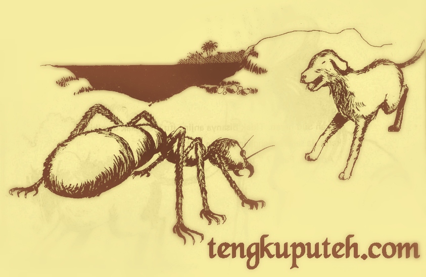 Tempat pertempuran antara semut raksasa (Samudera) melawan anjing milik Meurah Silu (Pasai) menjadi titik pijakan berdirinya Kerajaan Islam Pertama di Asia Tenggara, Kesultanan Samudera Pasai.